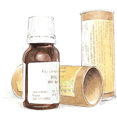 Rosmarino Fee 15ml-192 Rosmarino Fee 15ml-192