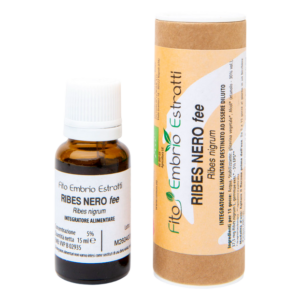 RIBES NERO fee 15ml (RIBES NIGRUM)