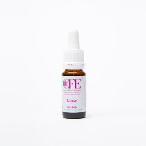 GORSE CFE STO BOT 10ML