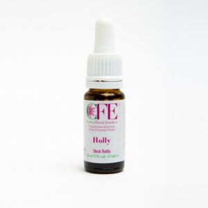 HOLLY CFE STO BOT 10ML