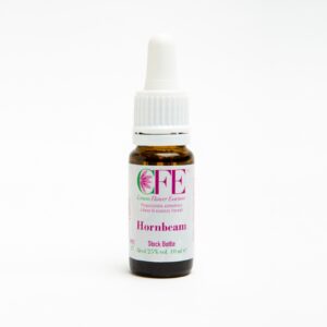 HORNBEAM CFE STO BOT 10ML