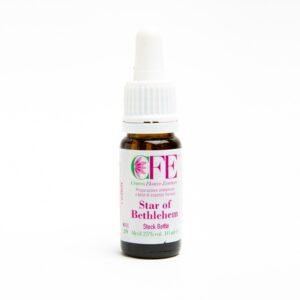 STAR OF BETHLEM CFE STO BOT 10ML