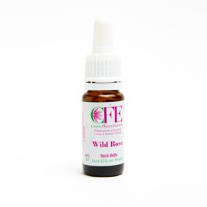 WILD ROSE CFE STO BOT 10ML