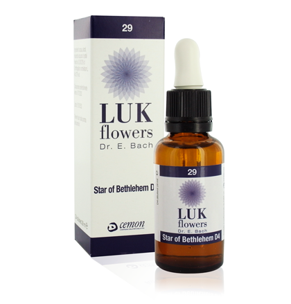 Star of Bethlehem 28 ml-0 Star of Bethlehem 28 ml-0