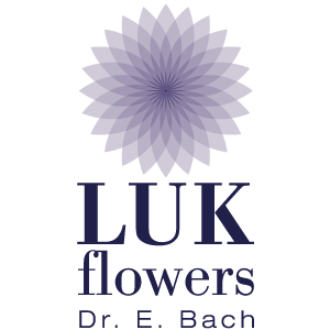 Luk Flowers